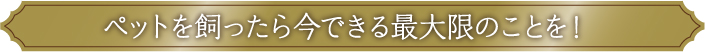 ペットを飼ったら今できる最大限のことを！